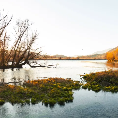 Riserva naturale lago di Posta Fibreno