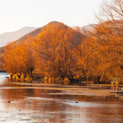 Riserva naturale lago di Posta Fibreno