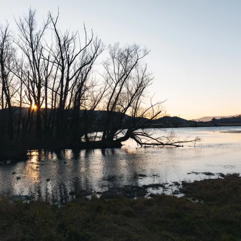 Riserva naturale lago di Posta Fibreno